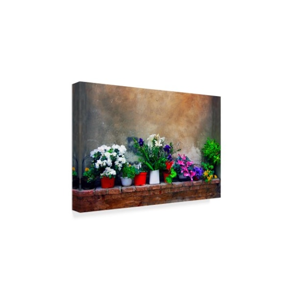 Ata Alishahi 'Wall Flowers' Canvas Art,22x32